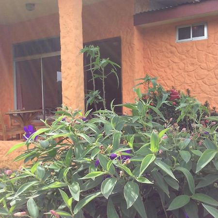 Cabinas Los Guayabos Hotel La Fortuna Eksteriør billede