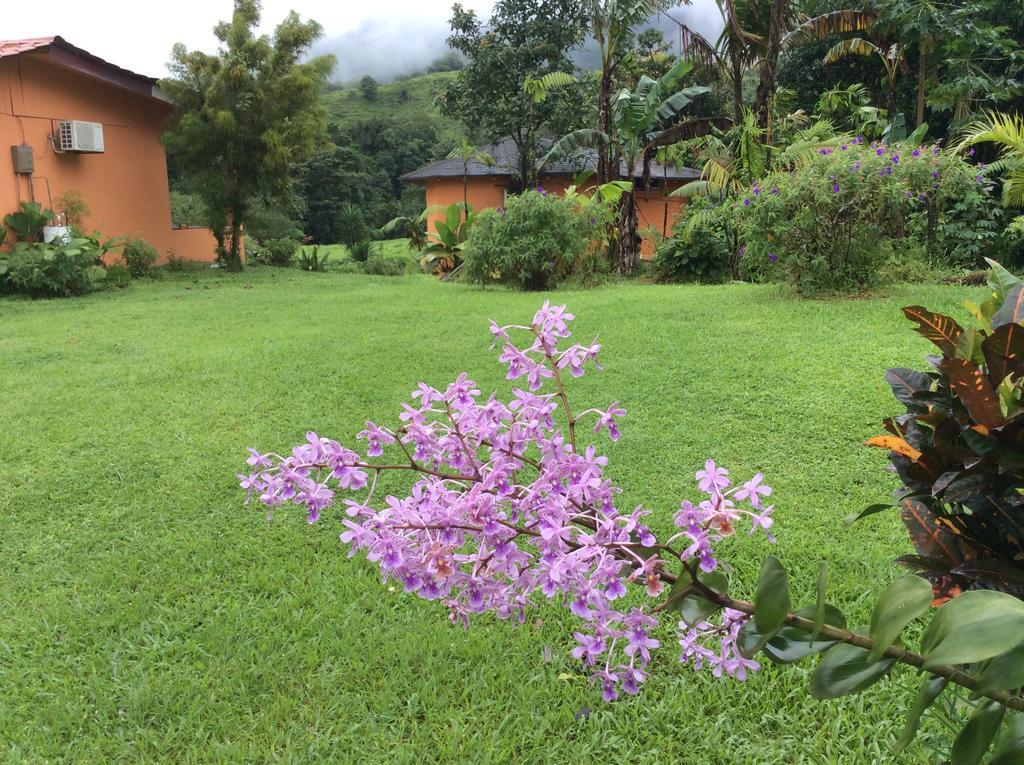 Cabinas Los Guayabos Hotel La Fortuna Eksteriør billede