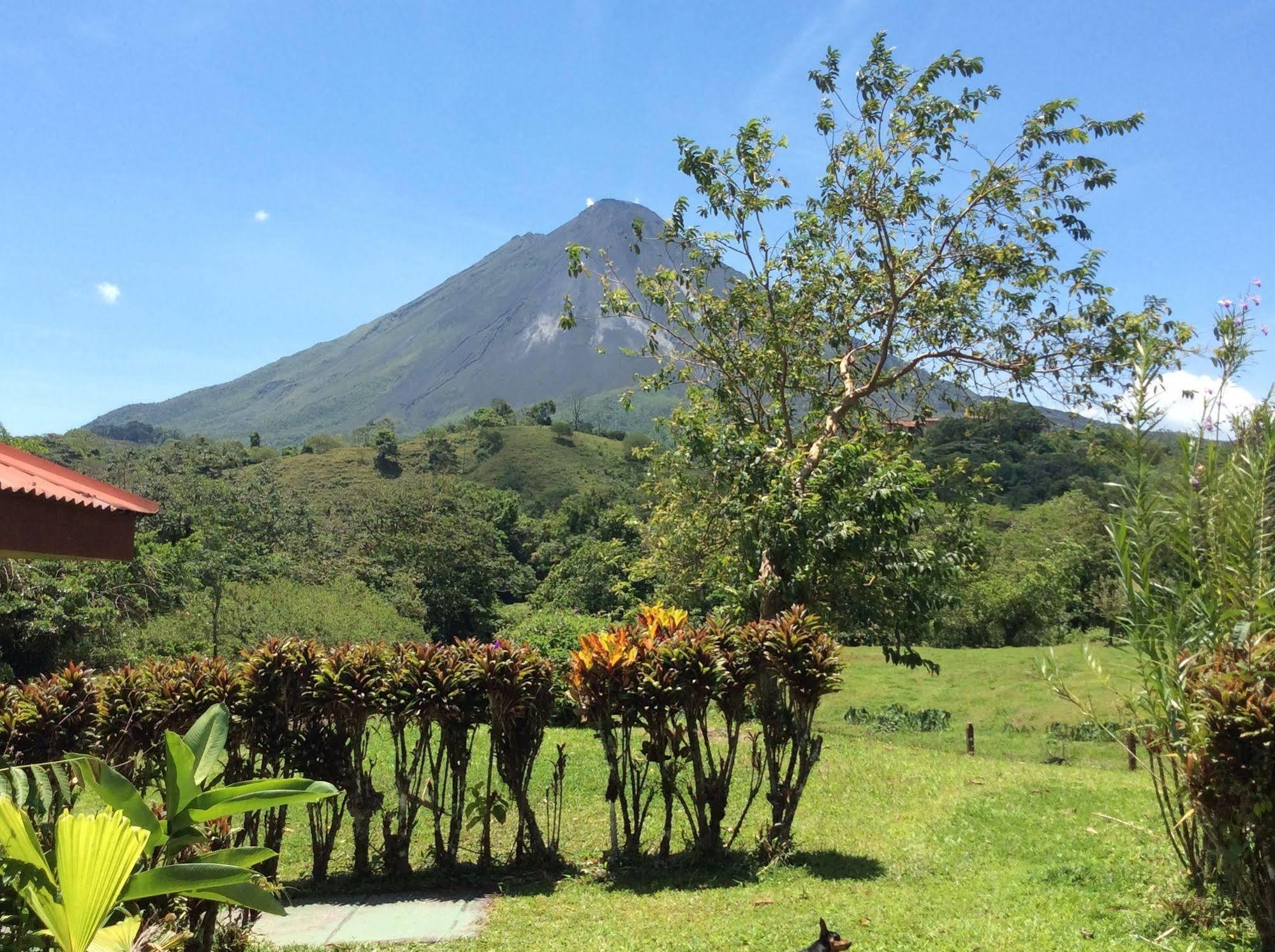 Cabinas Los Guayabos Hotel La Fortuna Eksteriør billede