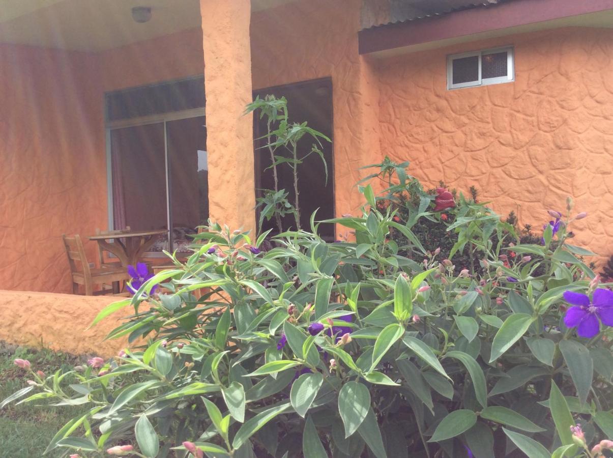 Cabinas Los Guayabos Hotel La Fortuna Eksteriør billede